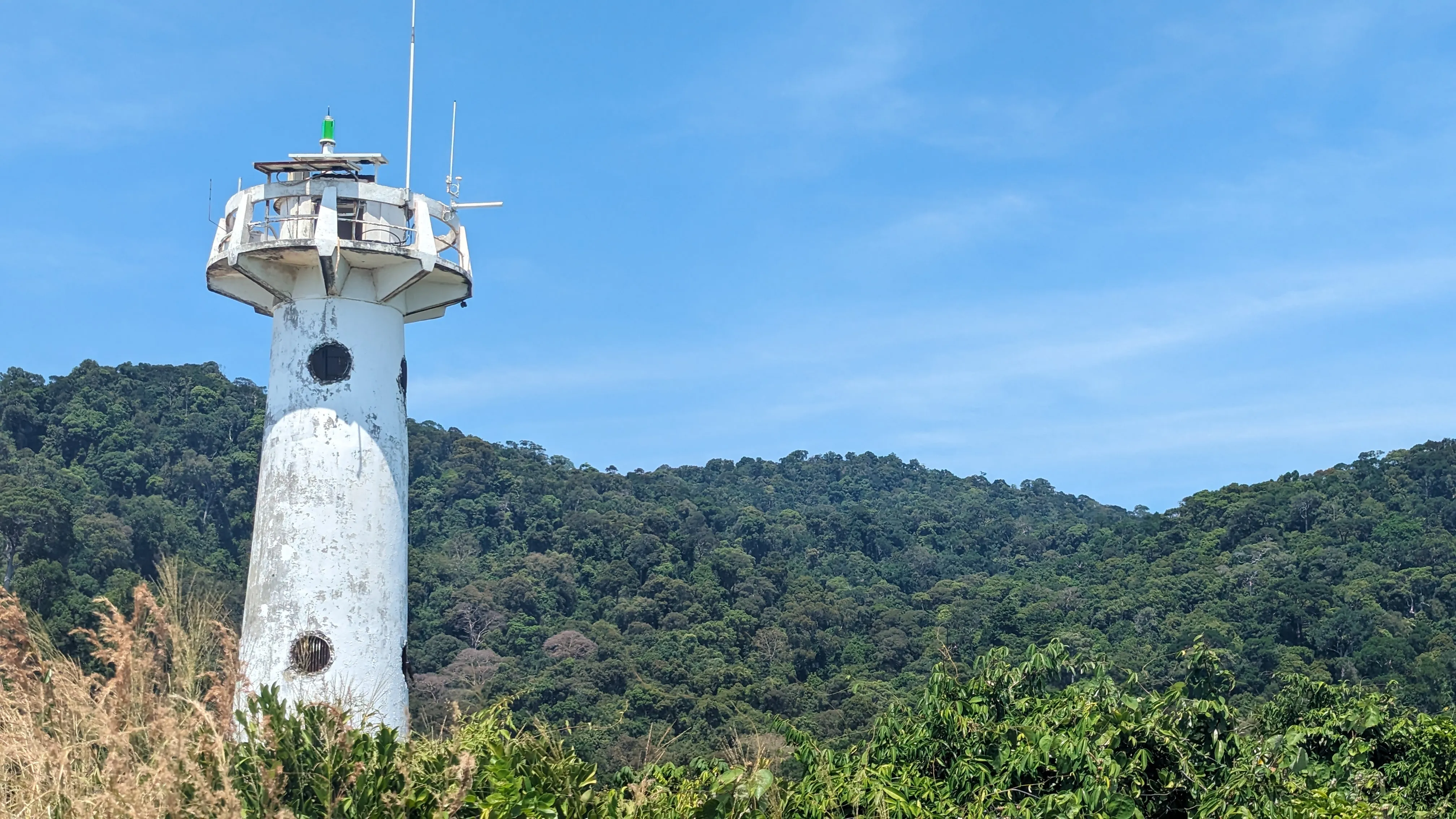 Biała, prosta wieża z antenami i innymi urządzeniami na szczycie, wokół zieleń